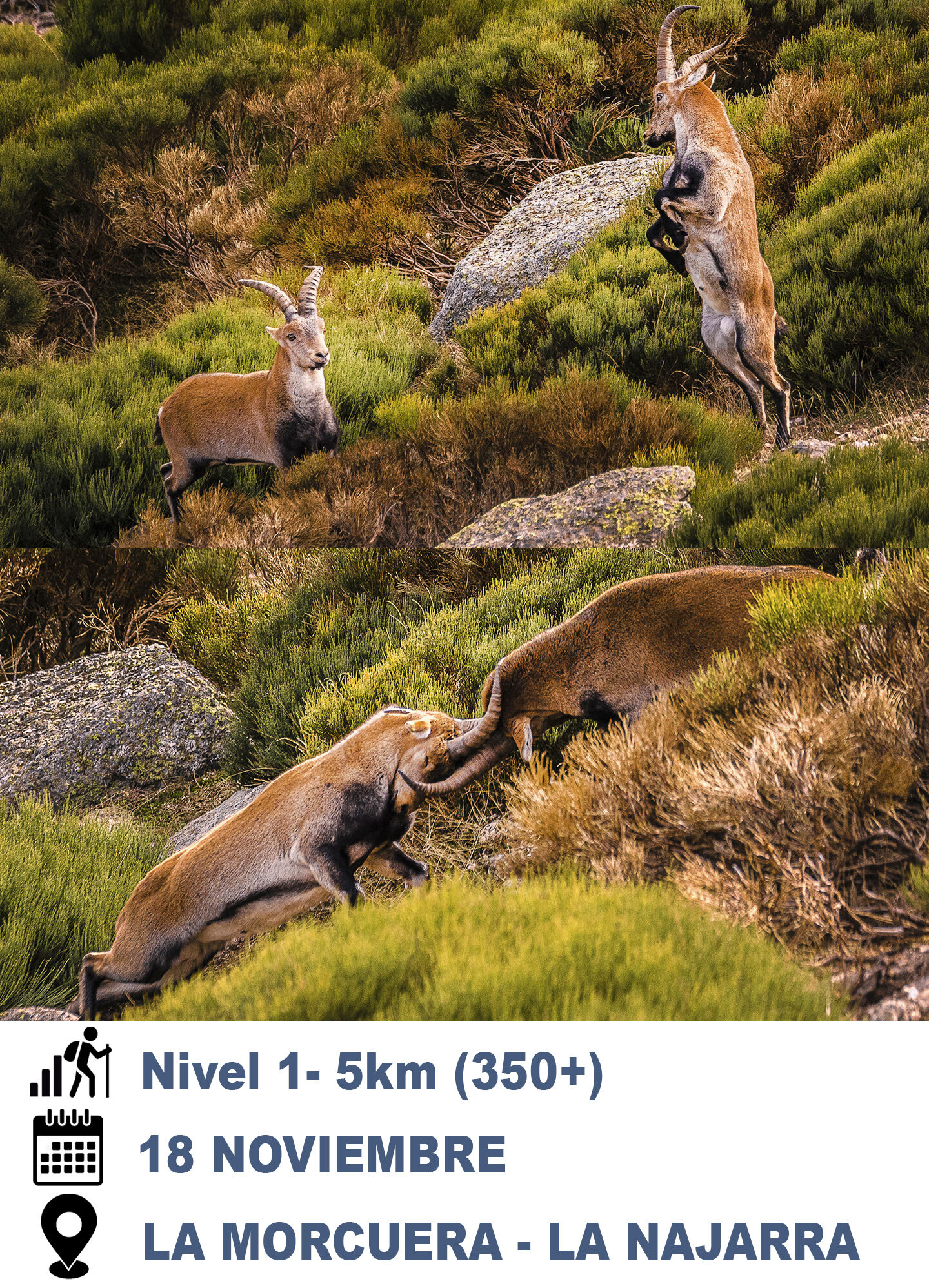 Trekking Fotografico - berrea-copia.jpg
