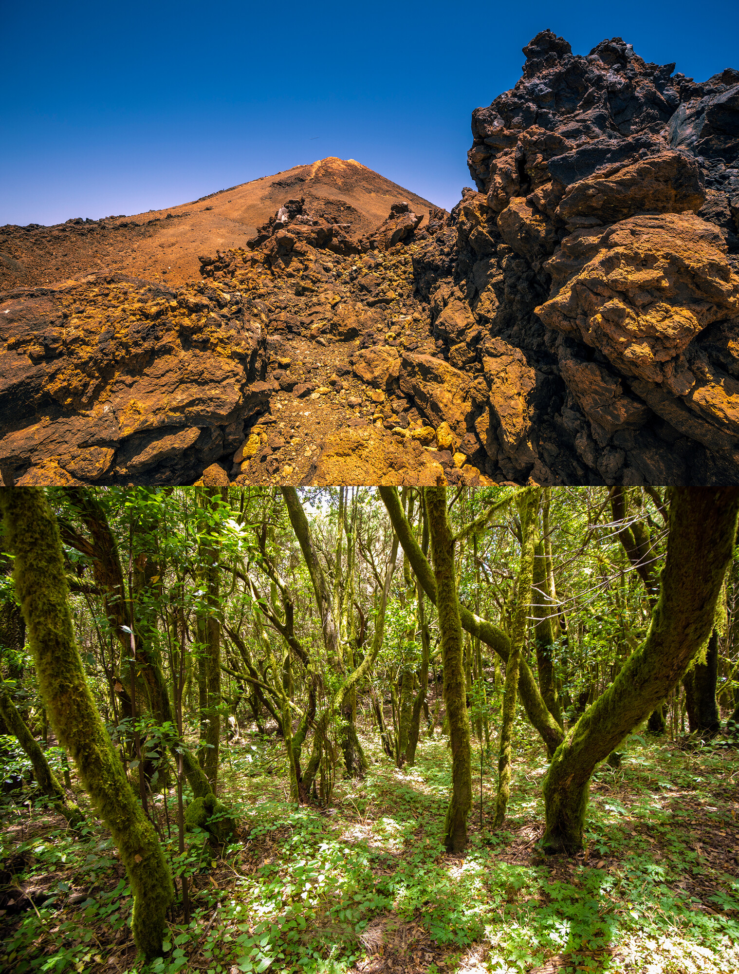 Trekking Fotografico - img-7623.jpg