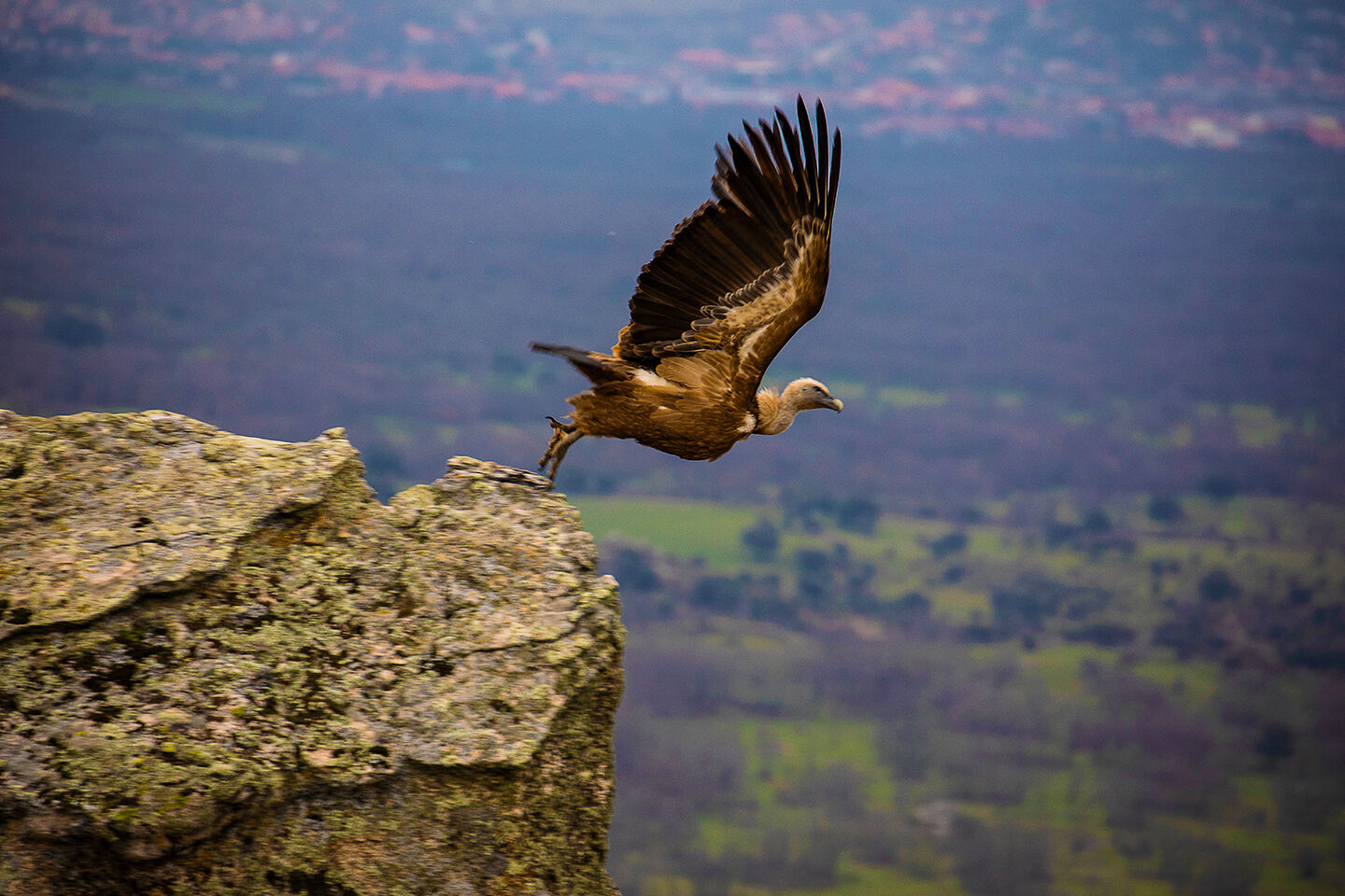 Trekking Fotografico - varios3.jpg